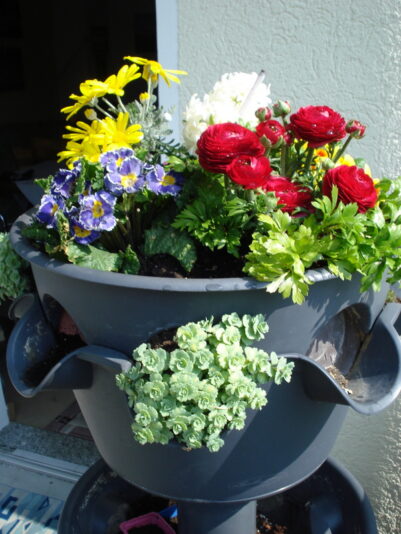 Der Frühling zeigt sich.