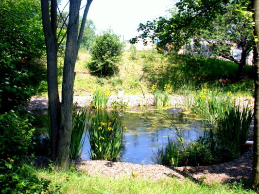 DSC04705