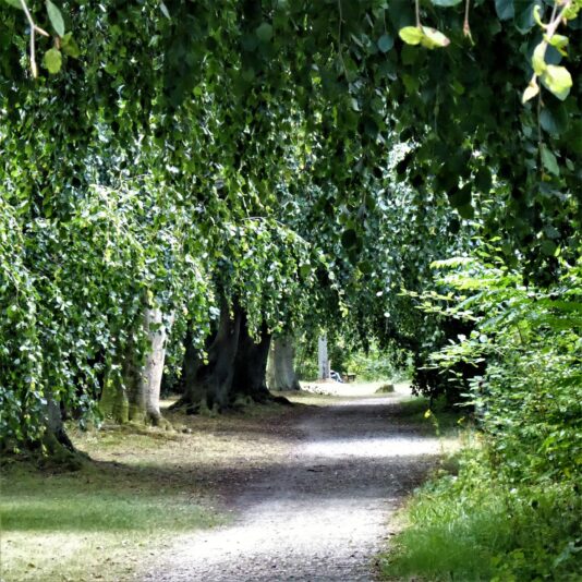 2022-08-31 Friedhof (10)