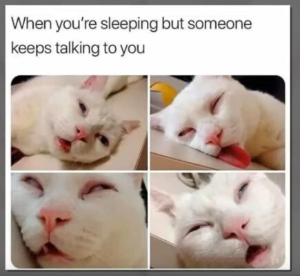 Screenshot 2024-06-19 090845