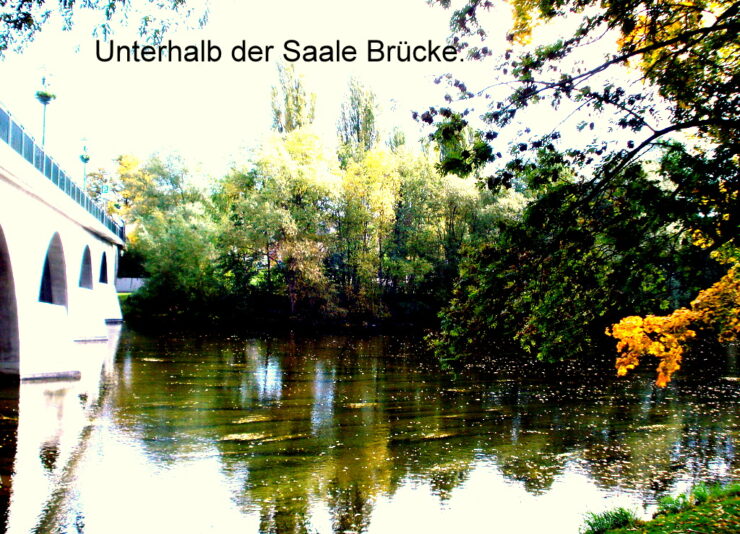 Unterhalb der Saale Brücke.