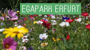images (71)