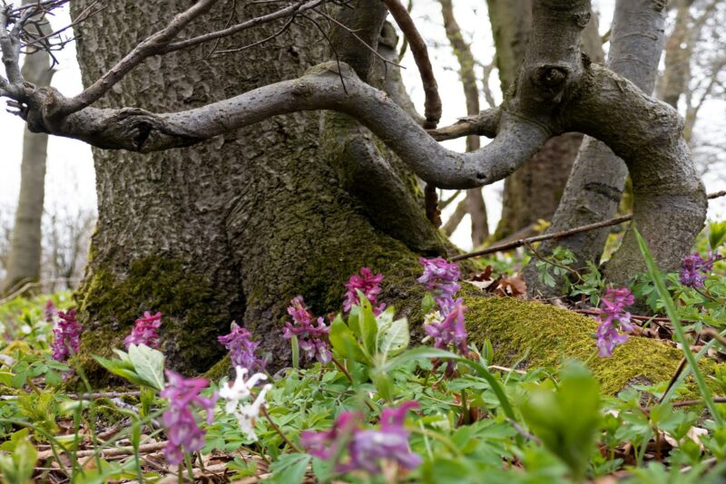 171264963_141337134658029_9136989942493648605_n