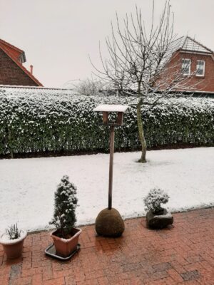 IMG-20201229-WA0001