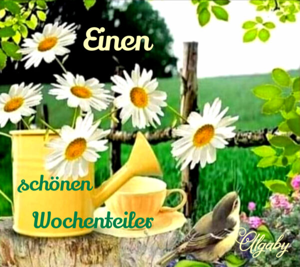 295755719_2266961476801911_7504386311734654802_n