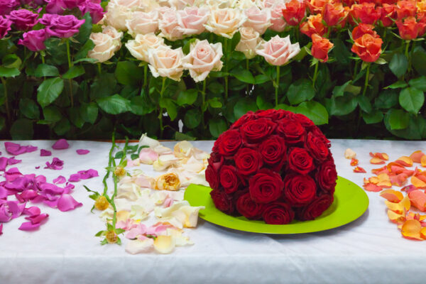 HE_2_Bild_Schnittrosen_Luetten_ee3c0d77cb