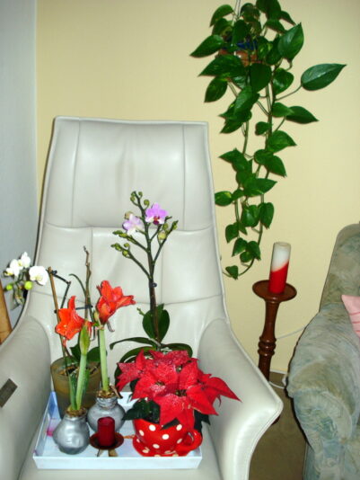 Mein Sessel, zweckentfremdet