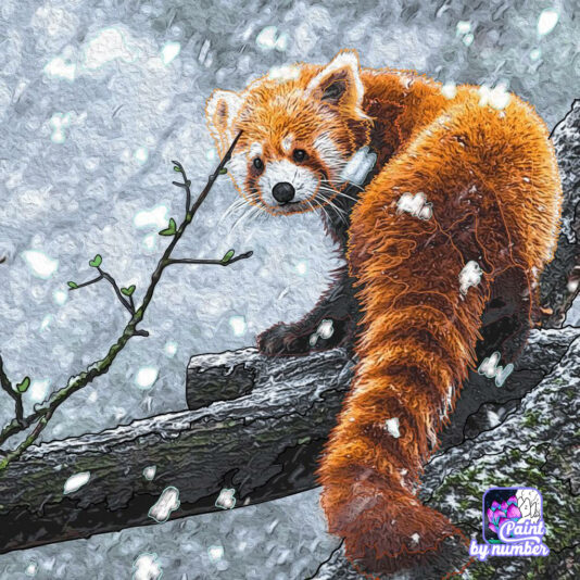 171658227_118395080274173_1930968403974973346_n