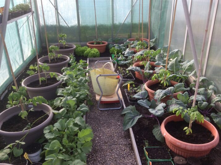 7E341E7F-52C1-4105-8E42-A1F696E63D41