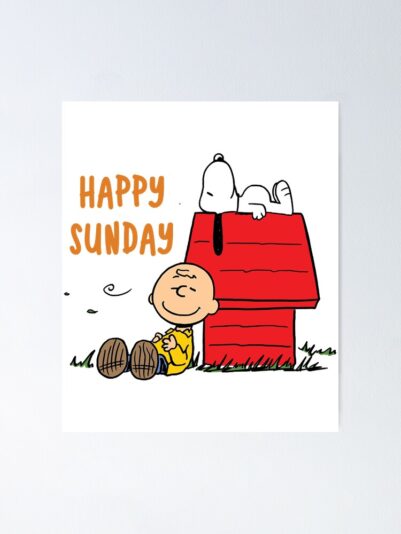 fposter,small,wall_texture,product,750x1000