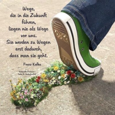 47b01a9a-1a3d-4cd2-8c96-60a69e02930a