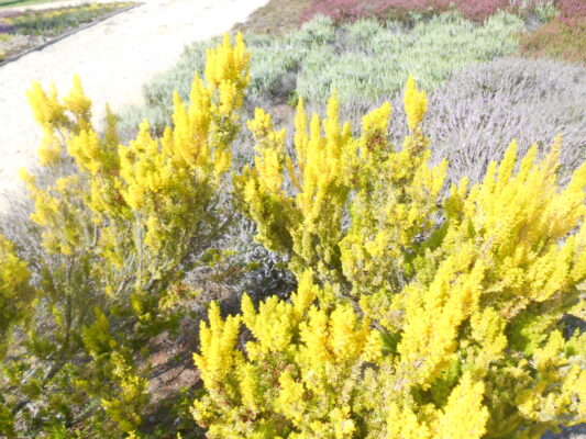Bilder emmchem 014