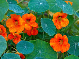 images (16)