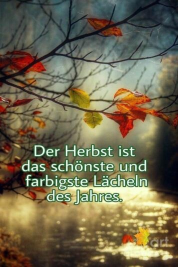 IMG_9878.JPG Herbst6
