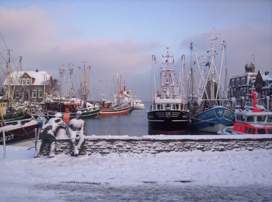 IMG-20201207-WA0001