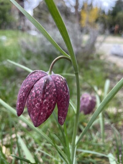 212C40ED-5867-44D6-9210-A0B917C3A838