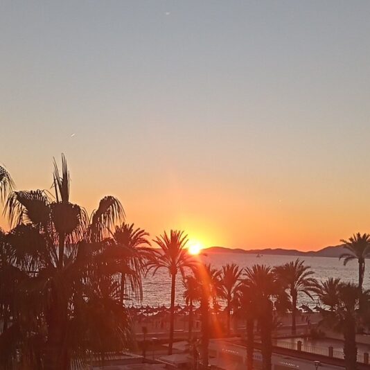 20230930_193140_HDR~2_Edited