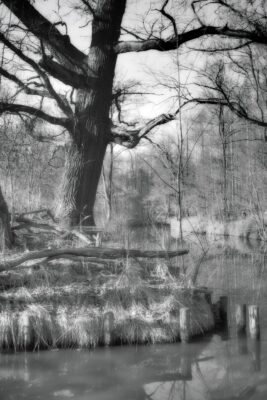 DSC09612_HDR