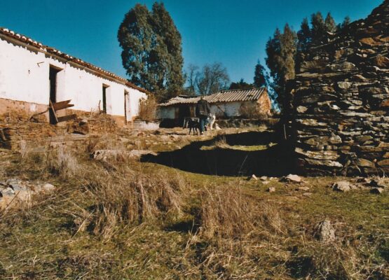 20230319012916_002~2