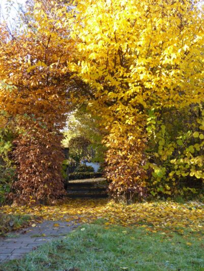 10.11.2018 Samstag (3)