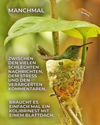 49d3b9ae-707e-476e-bbe7-dc4ca6a705d6