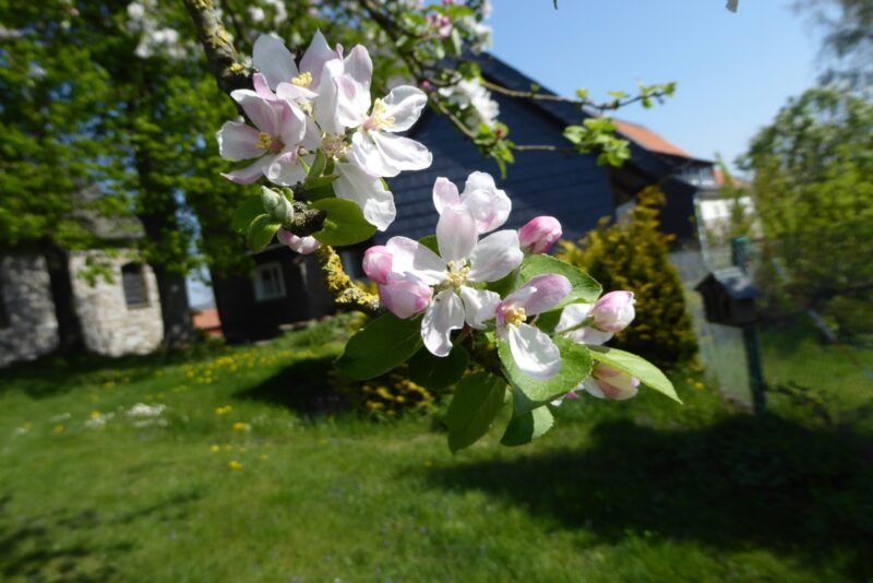 20220424 Neviges (113)