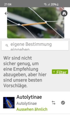 Screenshot_20230901_210412_iNaturalist