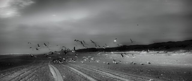_DSC4214_HDR
