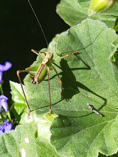 6E63F937-7062-4FD9-ACD1-F05E4893FE90