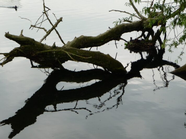 2009 05 14 007