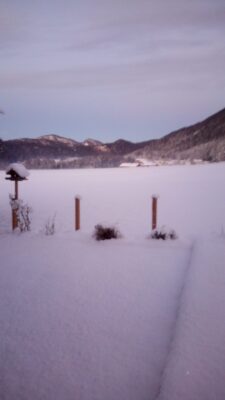 Winterbild