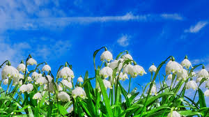 images (1)