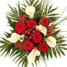 images (42)