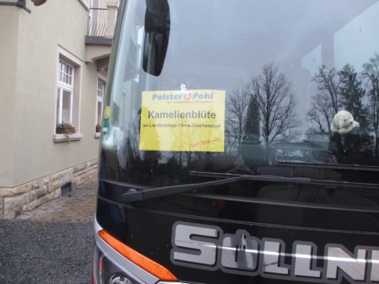 IMG_0009 - Kopie (2)