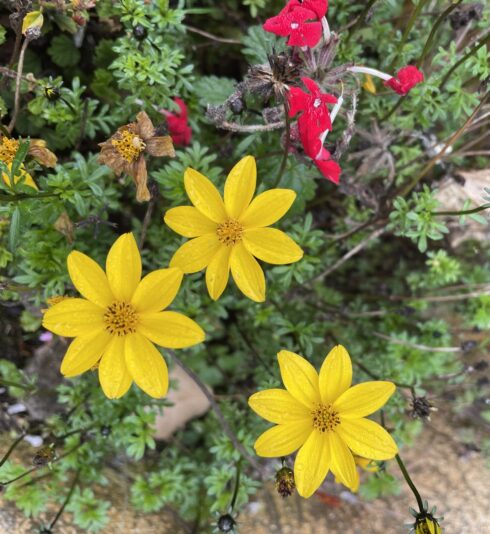 8715B1D4-8E6D-4CB6-AB58-771E962017E3