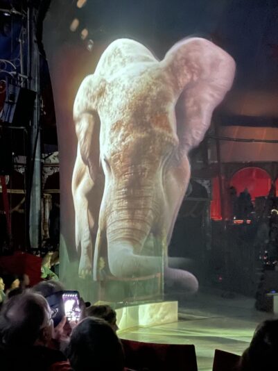 091867AF-3682-4DA2-BB83-A56EA3314485