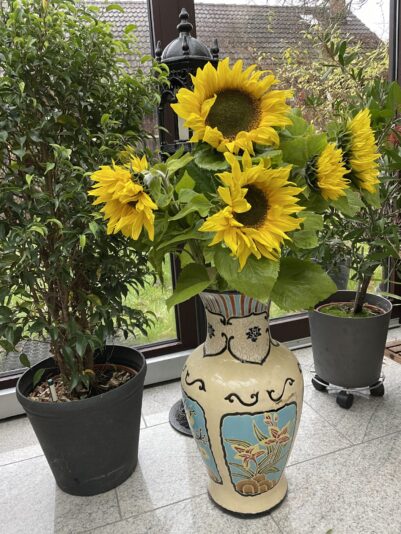 0A5B3F13-A5BF-4BB4-B352-ADF79053213F