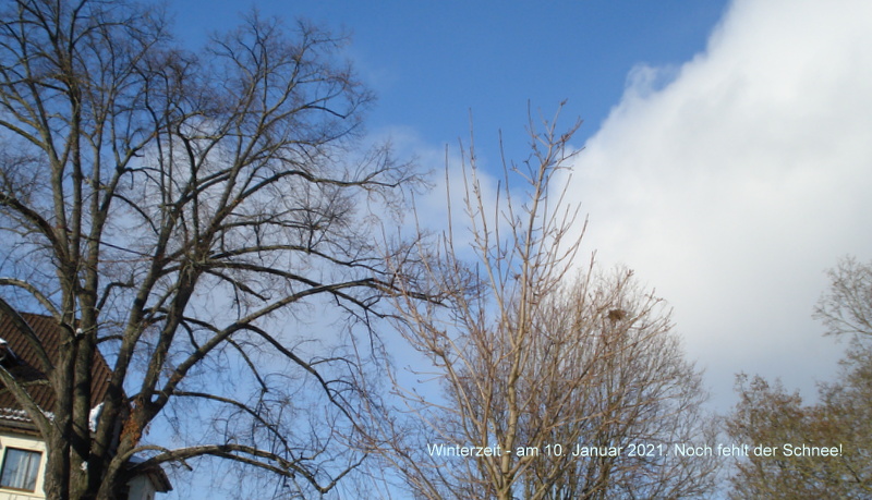 Winterzeit - am 10. Januar 2021. Noch fehlt der Schnee!