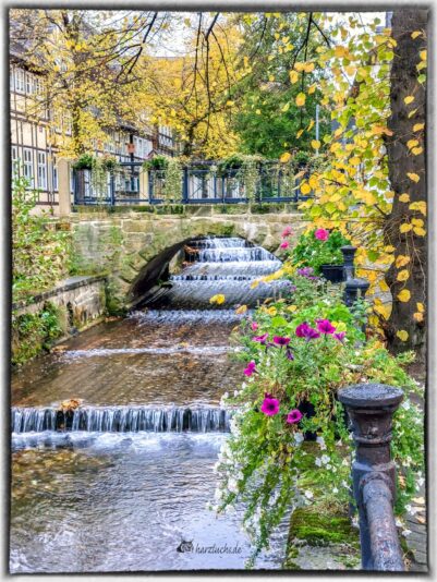 464037511_1092942962831180_8008370144546844236_n