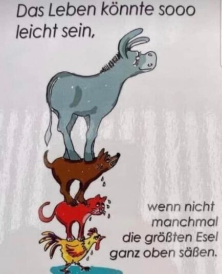 IMG-20220311-WA0008 (1)