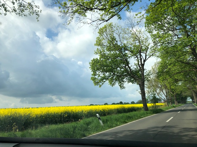 2. Mai 8