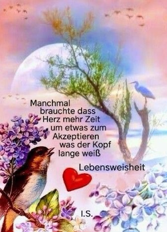 wer 4