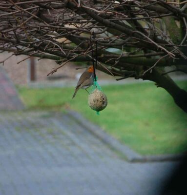 IMG-20201229-WA0002