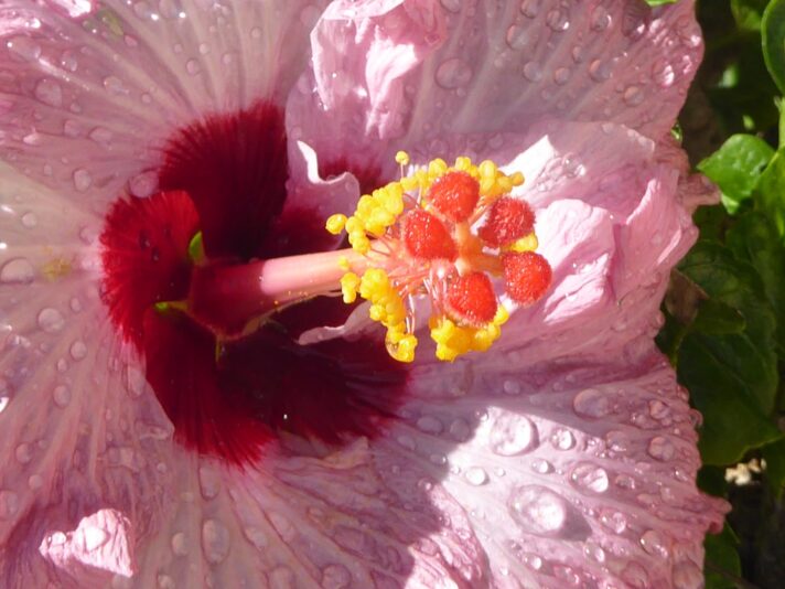 1.12.2021 auf der Blumeninsel Madera (9)