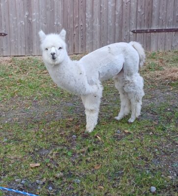 Gallery_1752476836138