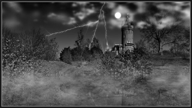 _DSC2418_bw3