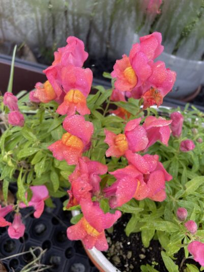 66E65203-0A84-4903-91AA-899EF7F993BA