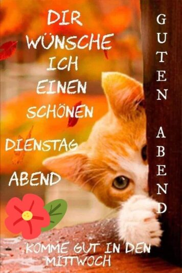 179830740_1214139375707033_9114797344235937274_n (1)