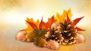 images (10)