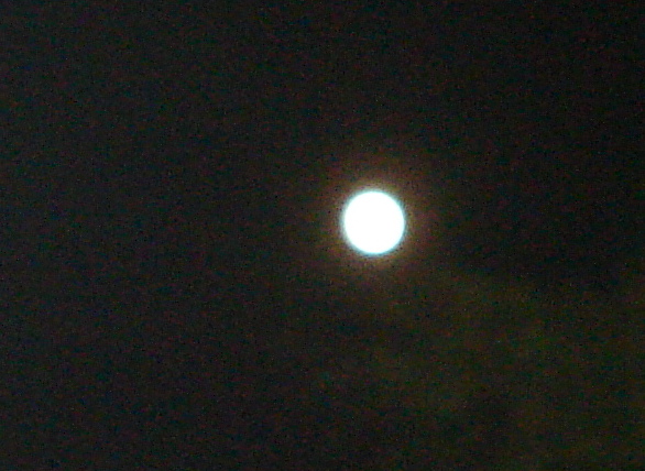 DSC06549